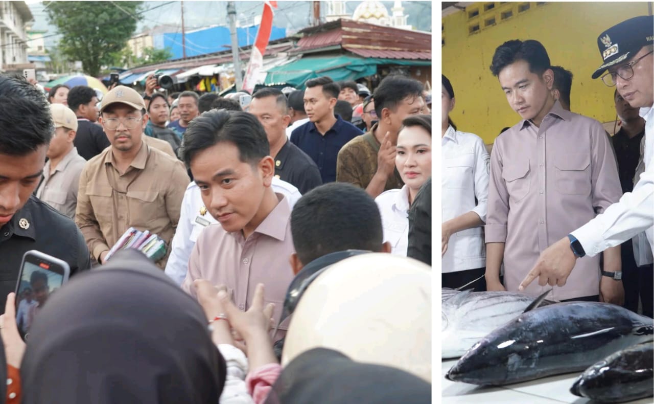 IMG-20251016-WA0013(1)