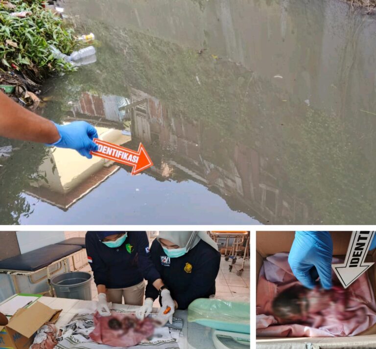 IMG-20251019-WA0145(1)