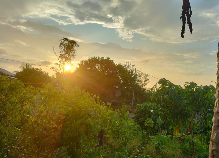 IMG-20251021-WA0085(1)