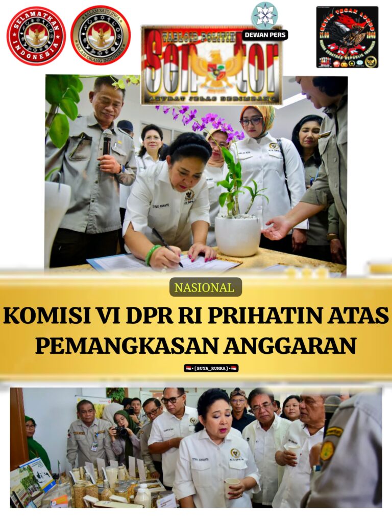 IMG-20260125-WA0050(1)