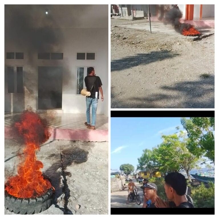 IMG-20260214-WA0095(1)