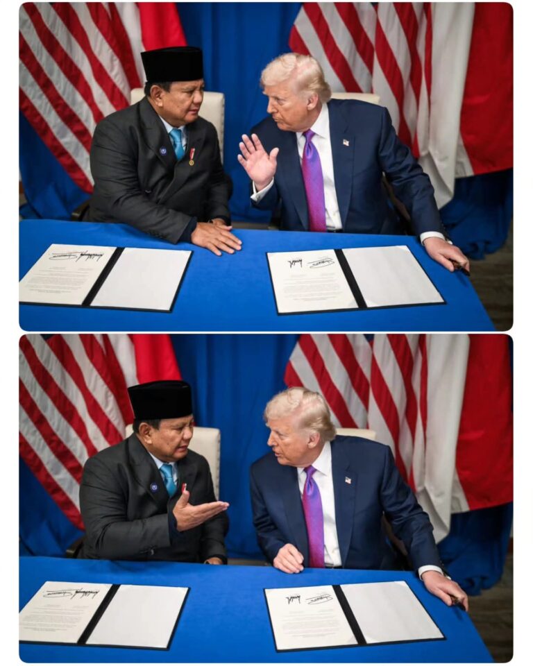 IMG-20260220-WA0395(1)